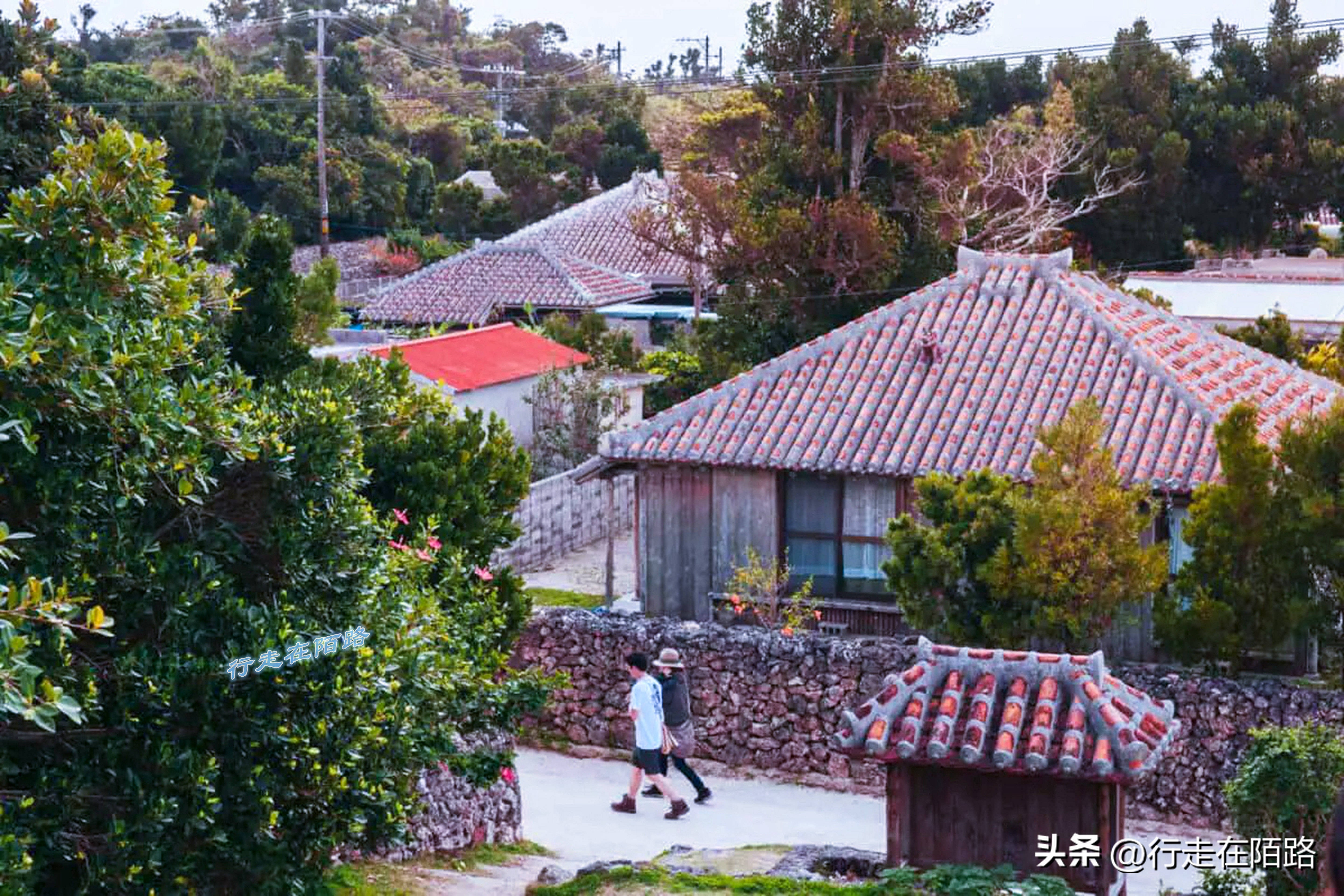 琉球竹富岛：红瓦屋顶石狮镇宅，小葱豆腐长命百岁