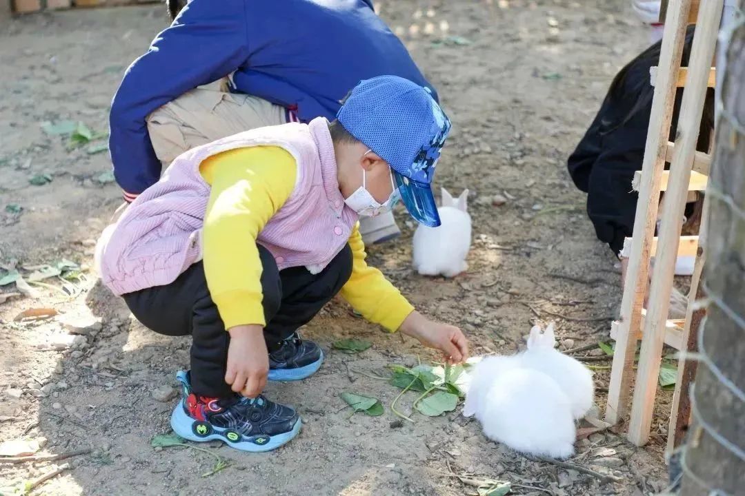 从化天人山水二日游,从化天人山水一日游攻略