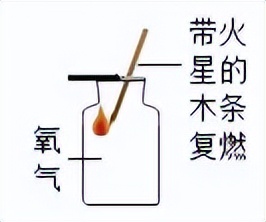科学知识大全小学生必背,科学知识大全全集