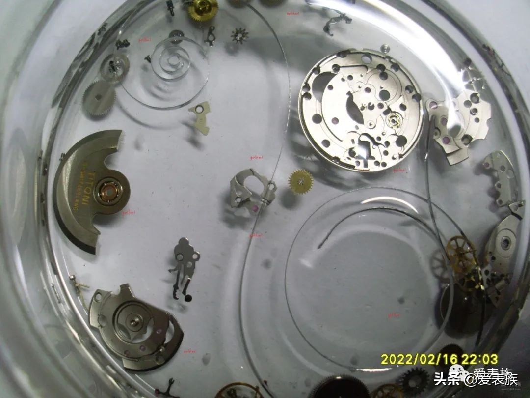 姊呰姳m905淇濆吇,姊呰姳2391鏈鸿姱