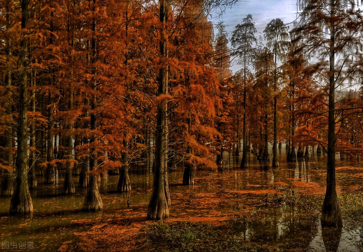 南京城东宝藏公园,南京小众宝藏地