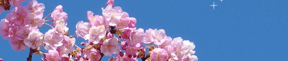 电影花木兰和历史花木兰的不同,花木兰电影与史实