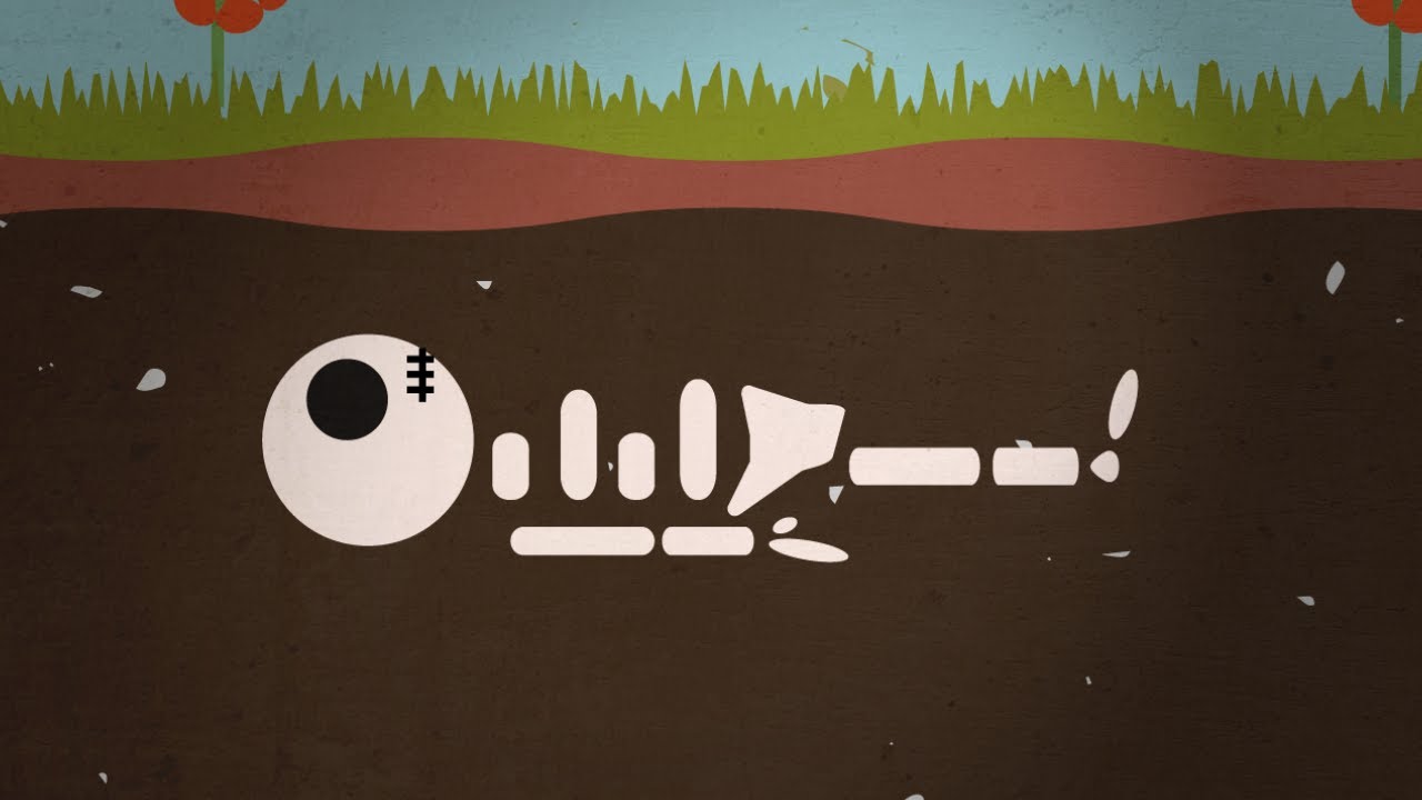 为什么人死和动物死味道不一样,为什么人的尸体比其它动物臭