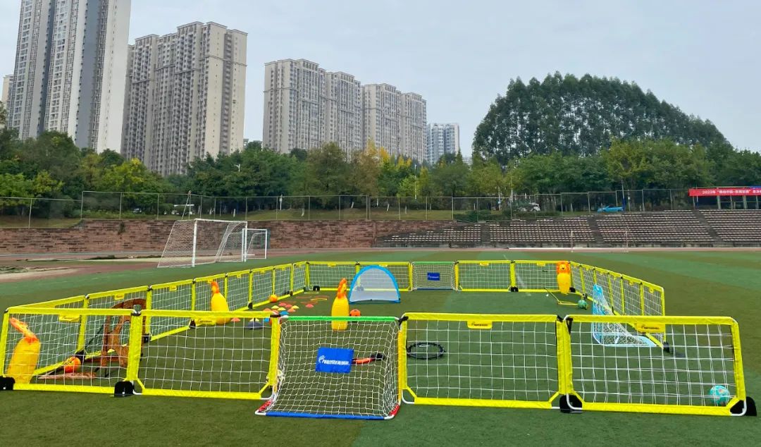 派迪茵体育直播,派迪茵全国足球