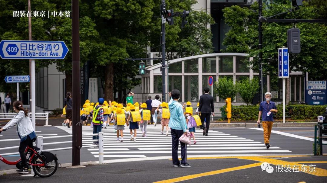 365张照片回顾,365张相片