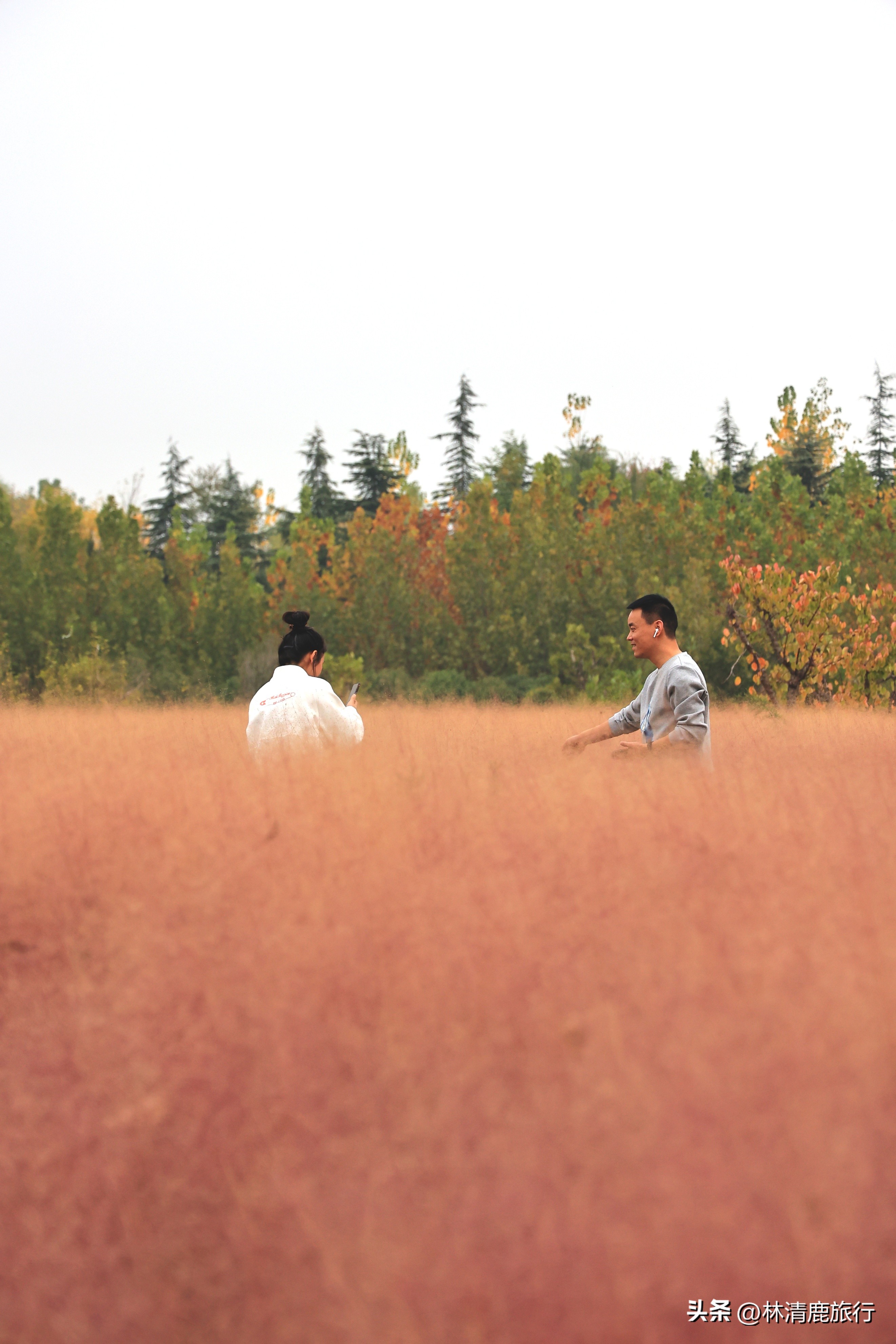郑州最美的赏秋景点,赏秋好去处河南醉氧之地