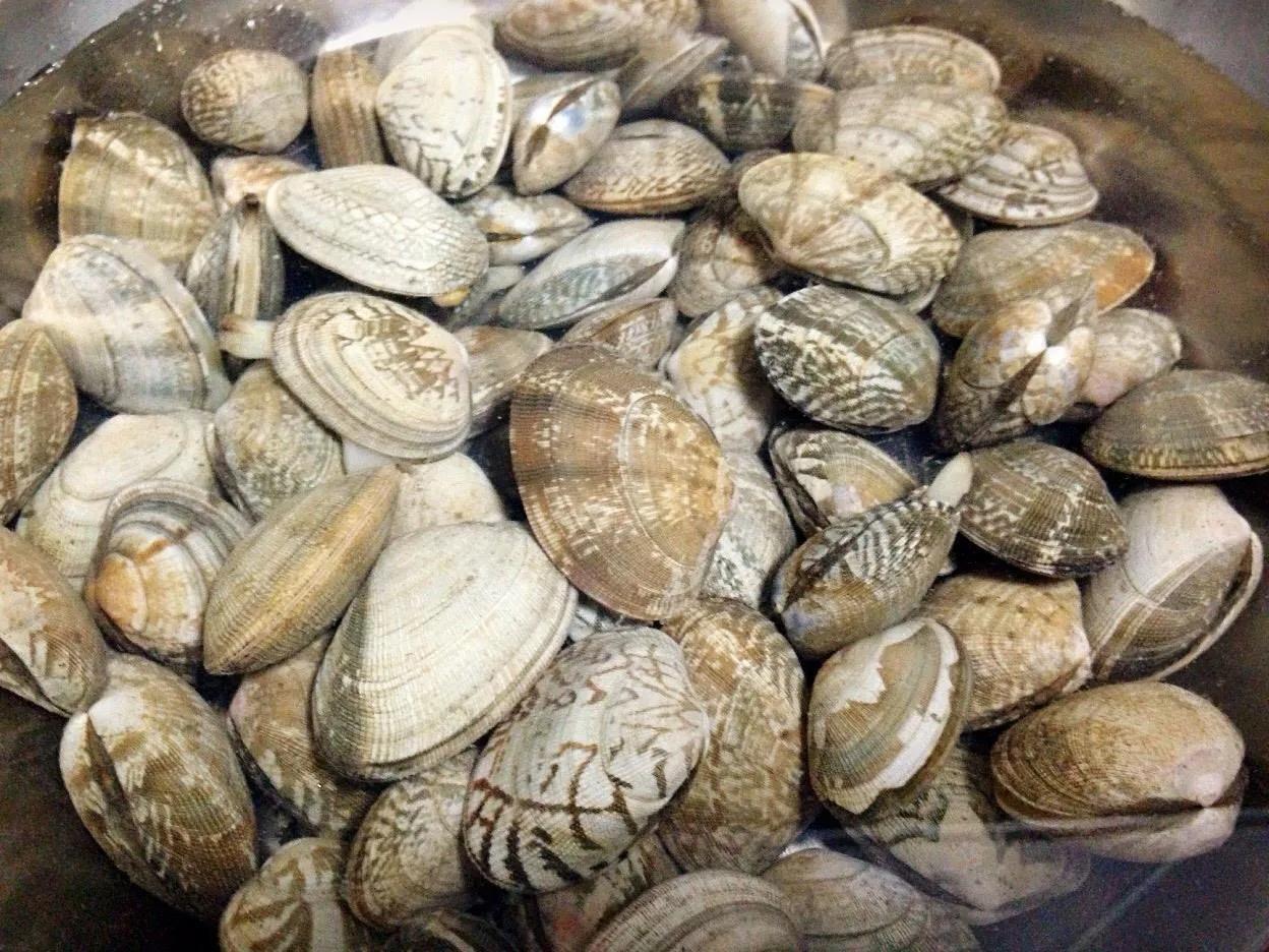 15种海鲜的经典吃法及价格,常见的海鲜正确吃法大全