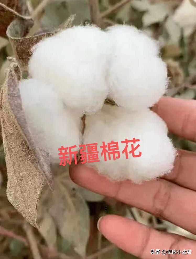 踩过所有的坑,踩过无数的坑