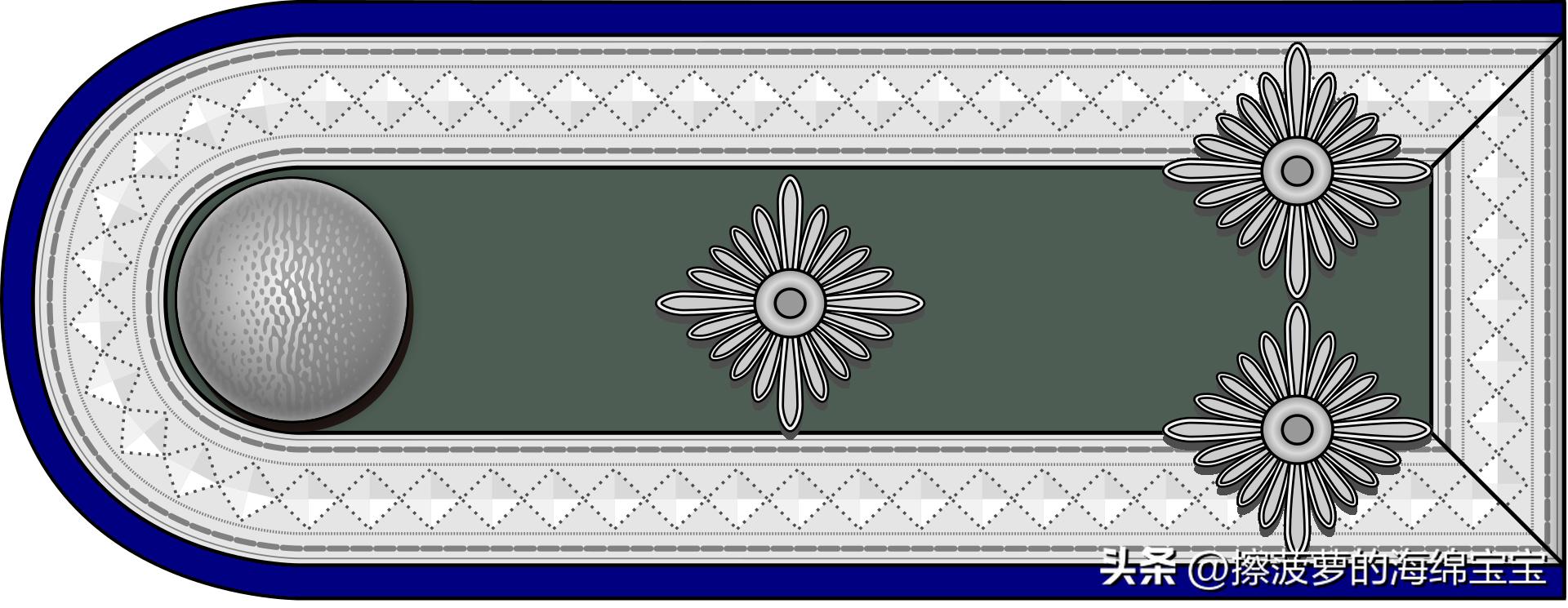 二战德国国防军医疗兵军衔标志