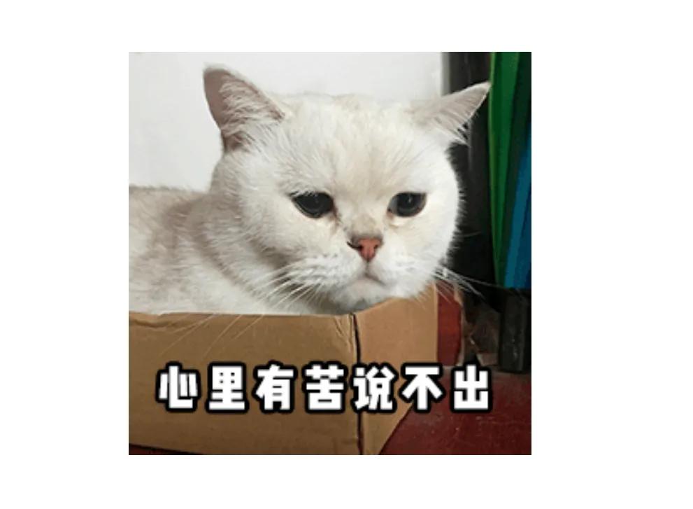 女生做程序员真实感受,什么样的女生适合做程序员