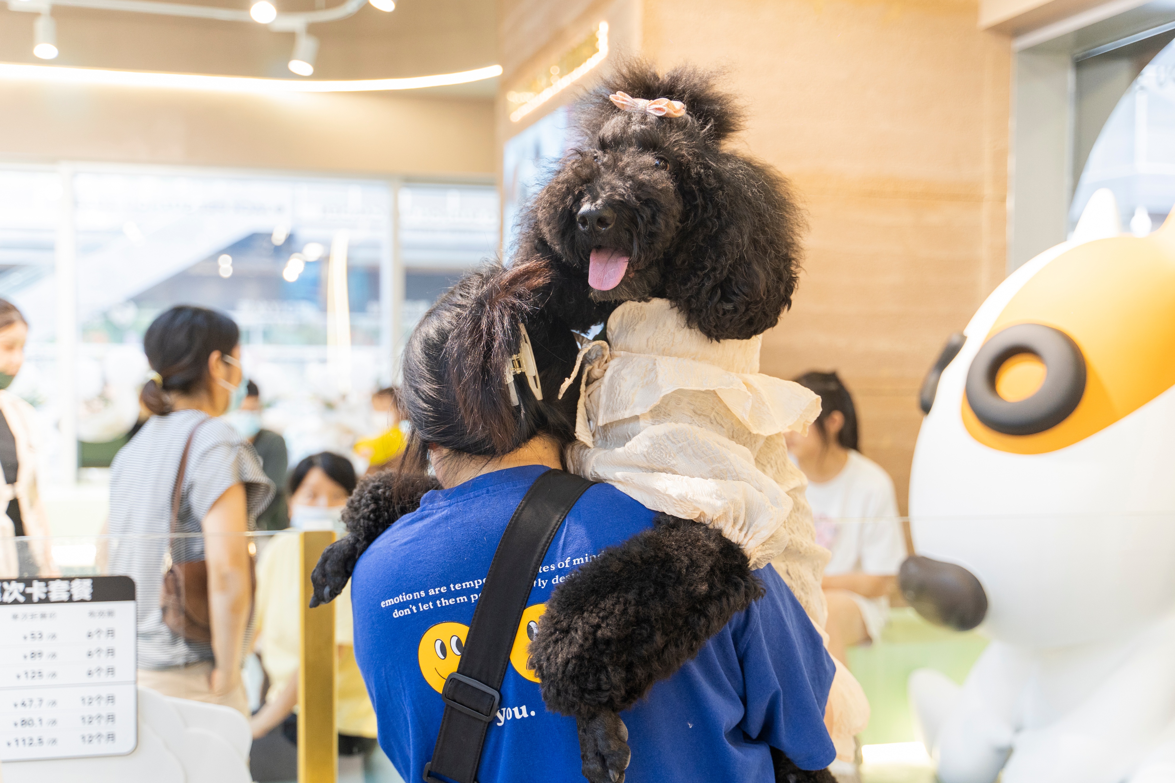 打造精致养宠新体验，极宠家2000㎡苏州旗舰店盛大开业