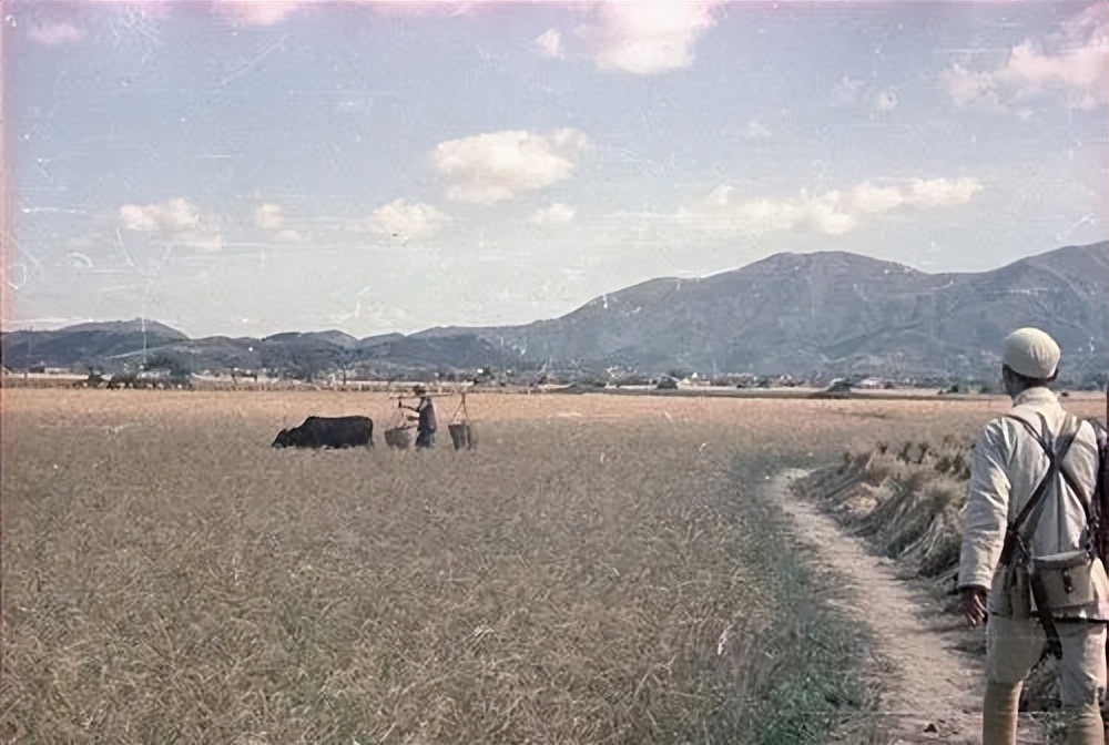 时隔16年的跨国寻亲,跨国寻亲36年他们终于在湖北团聚