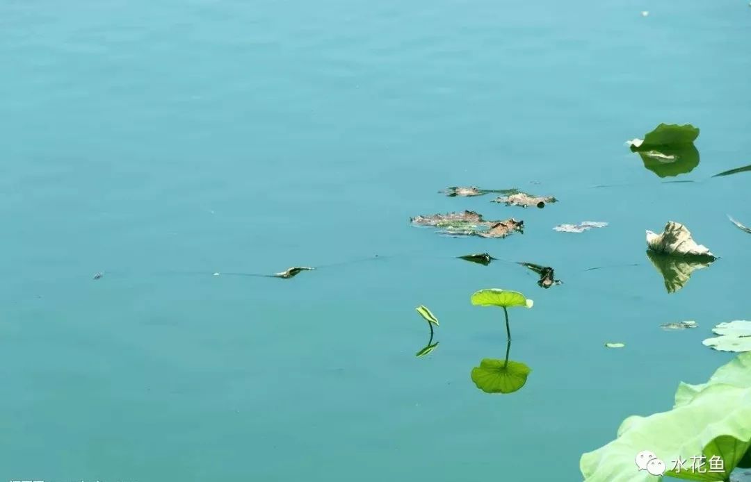 姘翠骇鍏绘畺鍒嗗瓙姘ㄥ拰绂诲瓙姘ㄧ殑鍖哄埆,璁よ瘑姘翠骇鍏绘畺