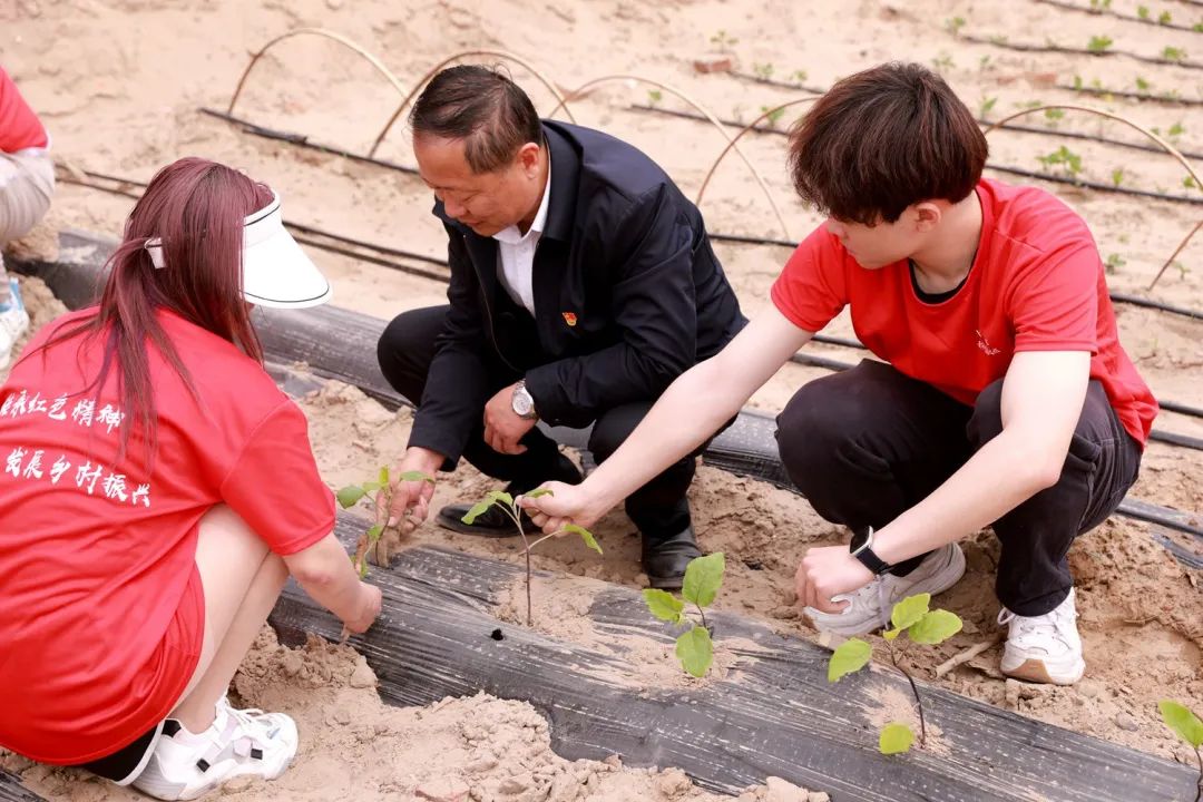 银川科技学院2021征集志愿三次,银川科技学院2023年征集志愿