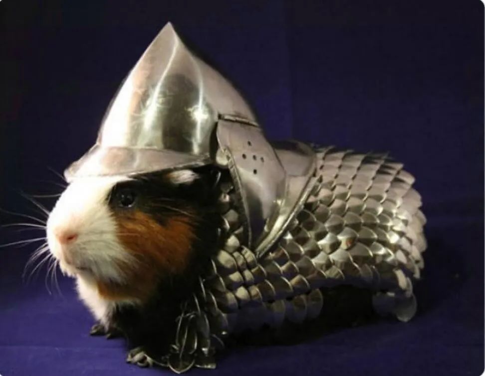 只坑有钱人大赏！哈哈哈哈穷人看了笑哭……