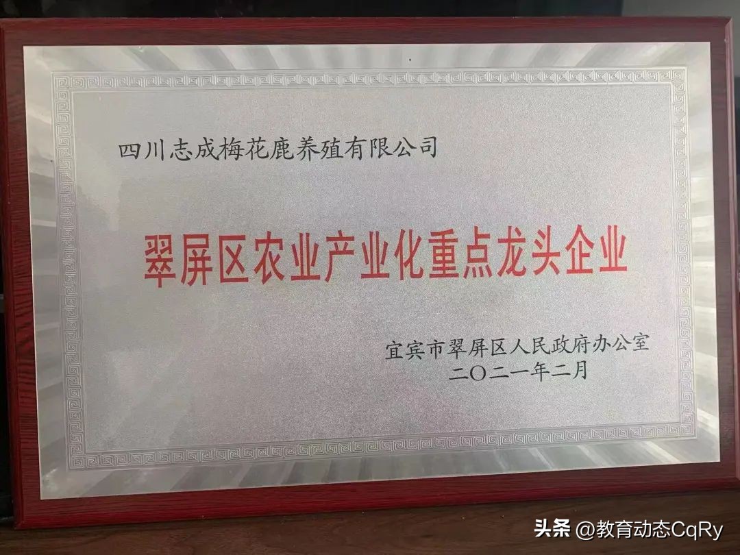 萌宠乐园报道创业青年肖莉昨日励志演讲，如今为何遭拆除要说法？