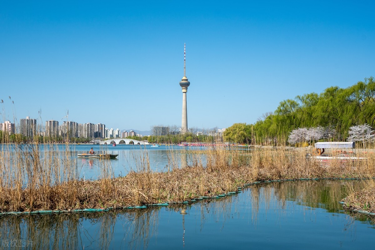 海淀区文旅局官网,文旅海淀第五期