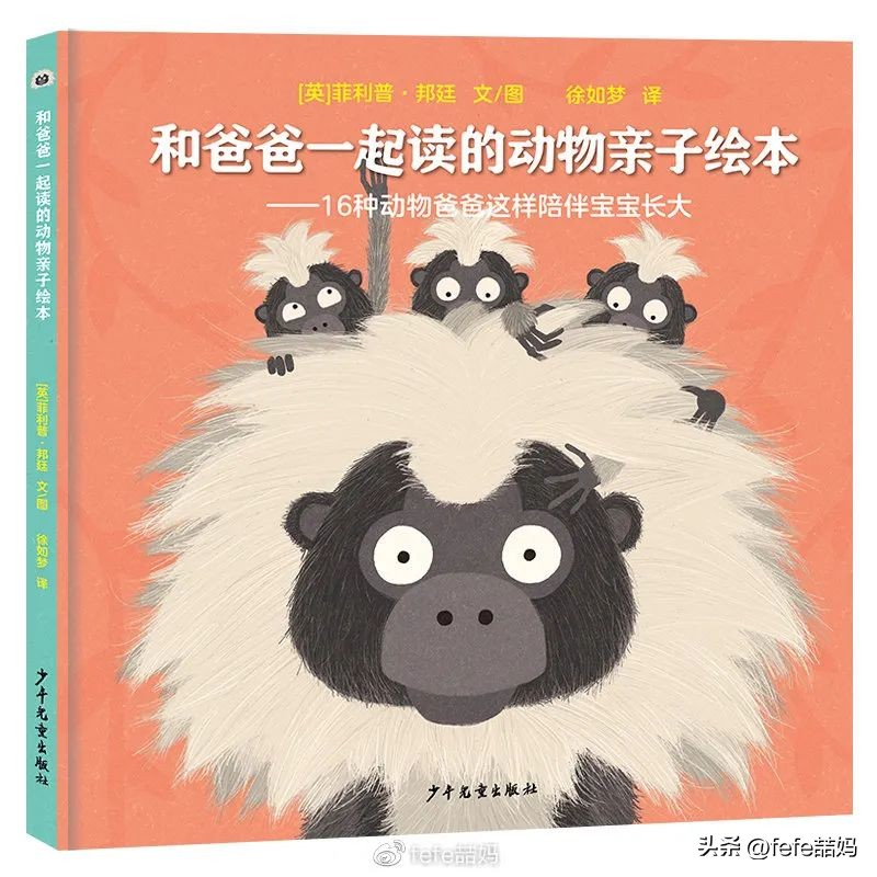 母亲节推荐的书小学,母亲节书单大全