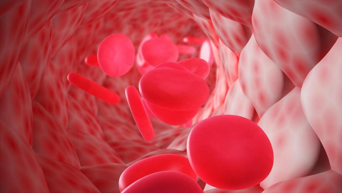 孕妇验血知怀孕天数,验血如何看孕妇孩子是否健康