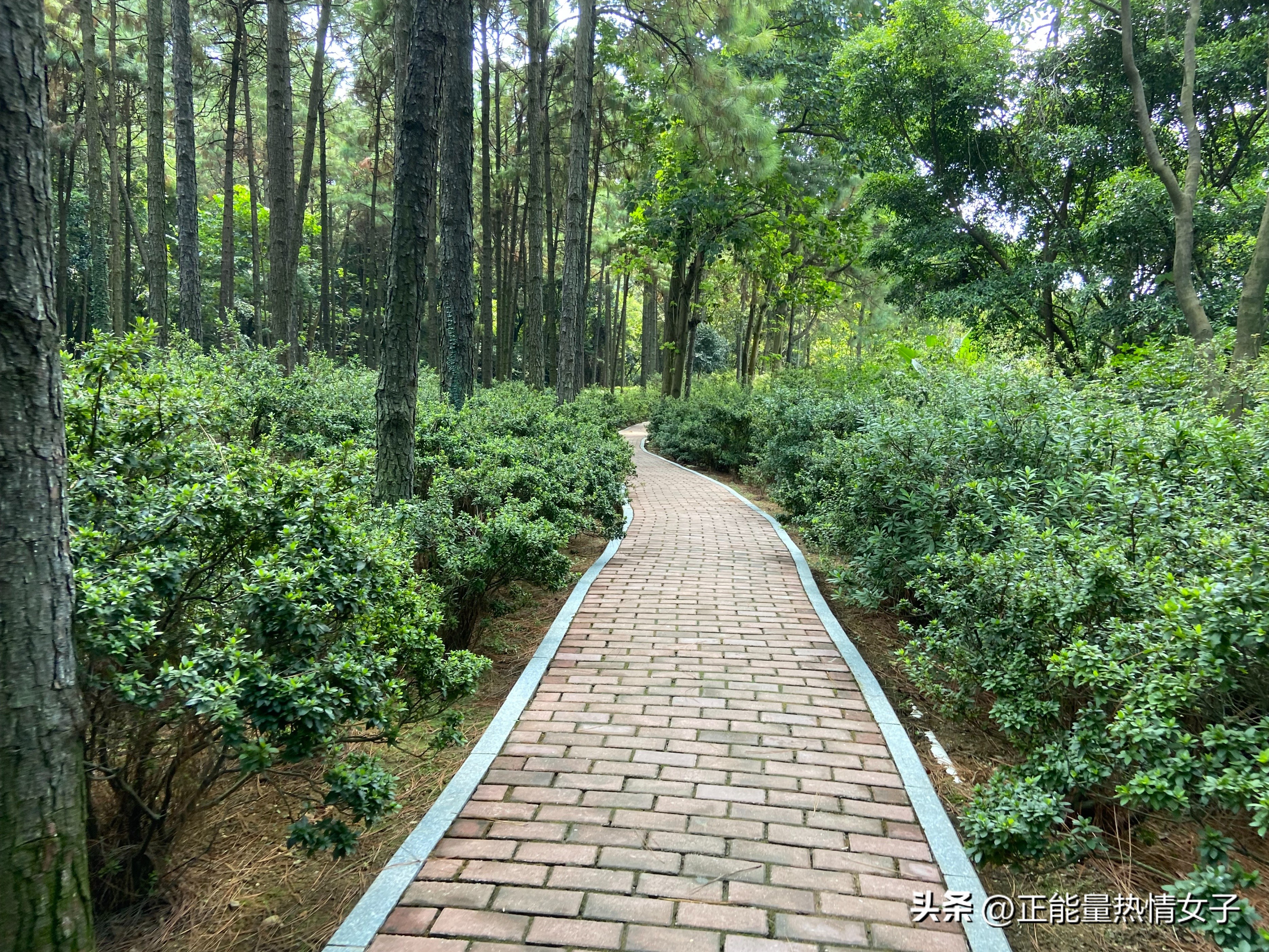 黄飞鸿故居一日游心得,黄飞鸿故里游玩攻略