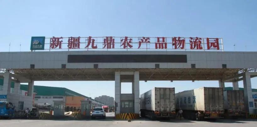 记者实地探访乌鲁木齐蔬菜市场,乌鲁木齐蔬菜市场的实际画面