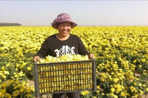 一户一块田补贴费用怎么分配,一户一田收回吗