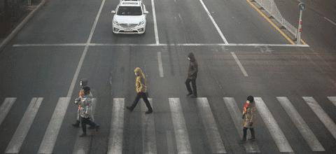 礼让行人奖励油卡,礼让行人加油券在哪里领取