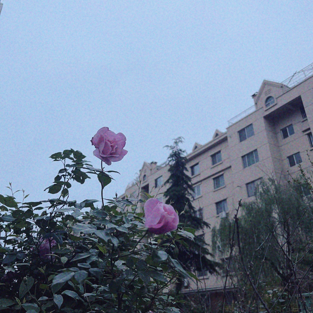 春日搭配日系,春日宴全套搭配