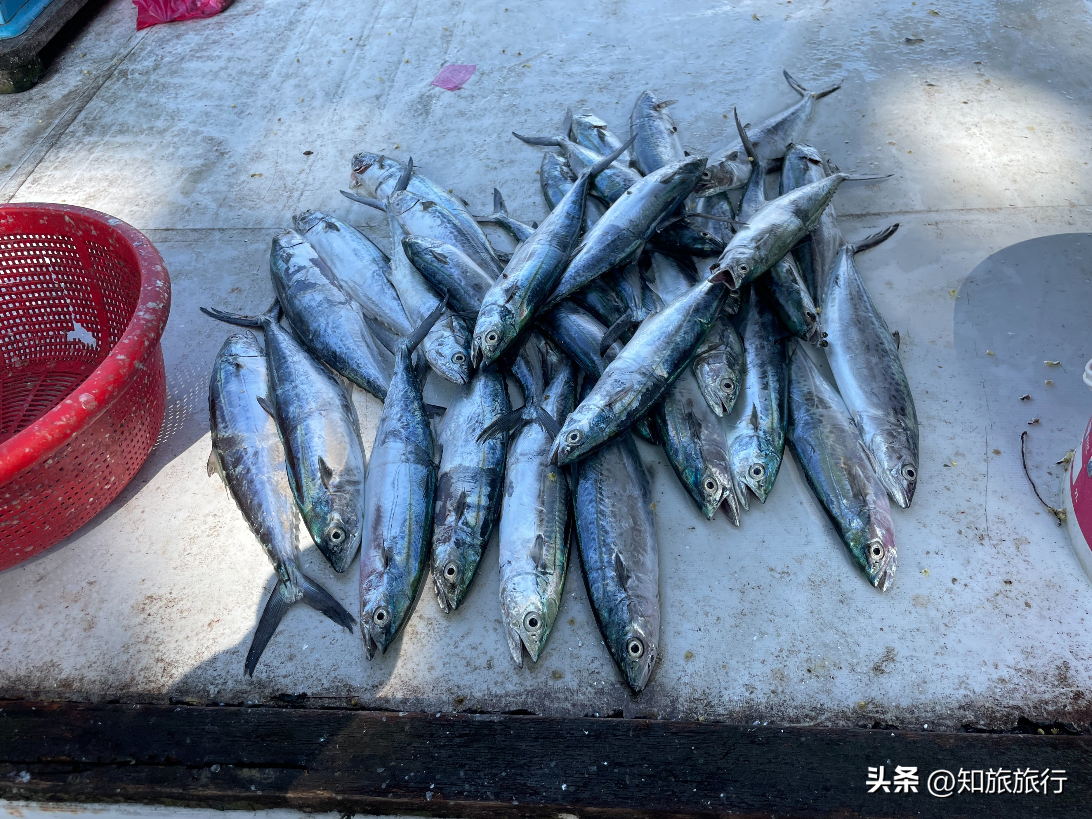 马来西亚马六甲市旅游,马来西亚马六甲市酒吧