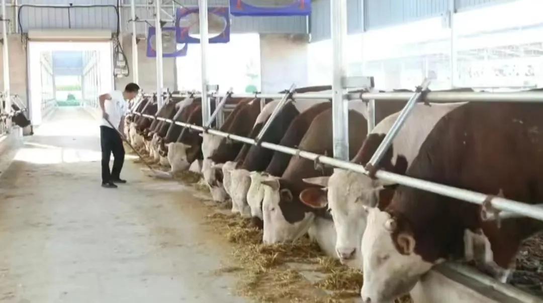 鍏ㄥ姏鎷肩粡娴庡彇寰楀紑闂ㄧ孩,鍏ㄥ姏鎷肩粡娴庡疄鐜板紑闂ㄧ孩婕旇