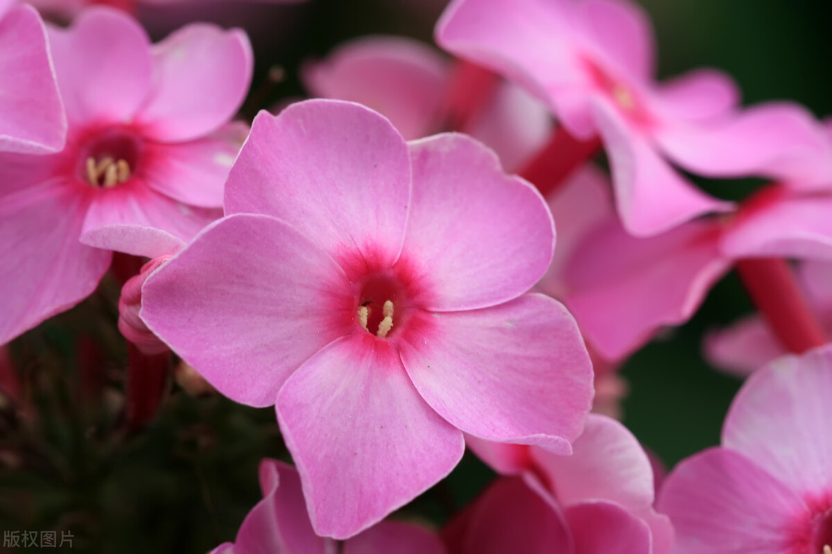 济南阳光100往南有什么好玩的,济南阳光100附近公园