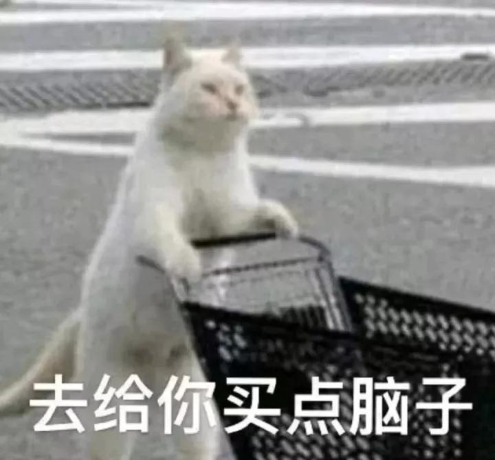 卡塔尔不工作有钱吗,卡塔尔有钱吗