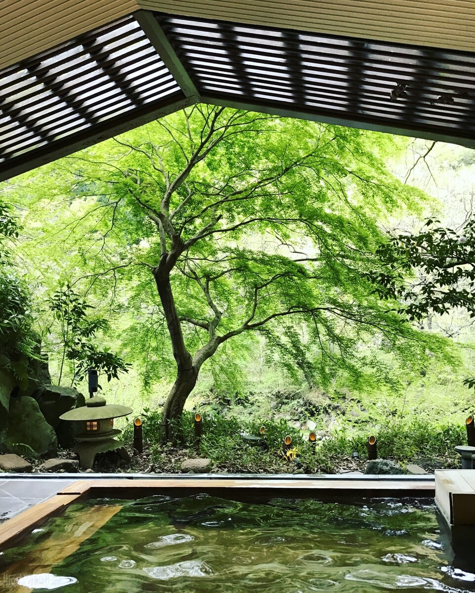 日本最近有什么旅游政策,日本有什么旅游活动