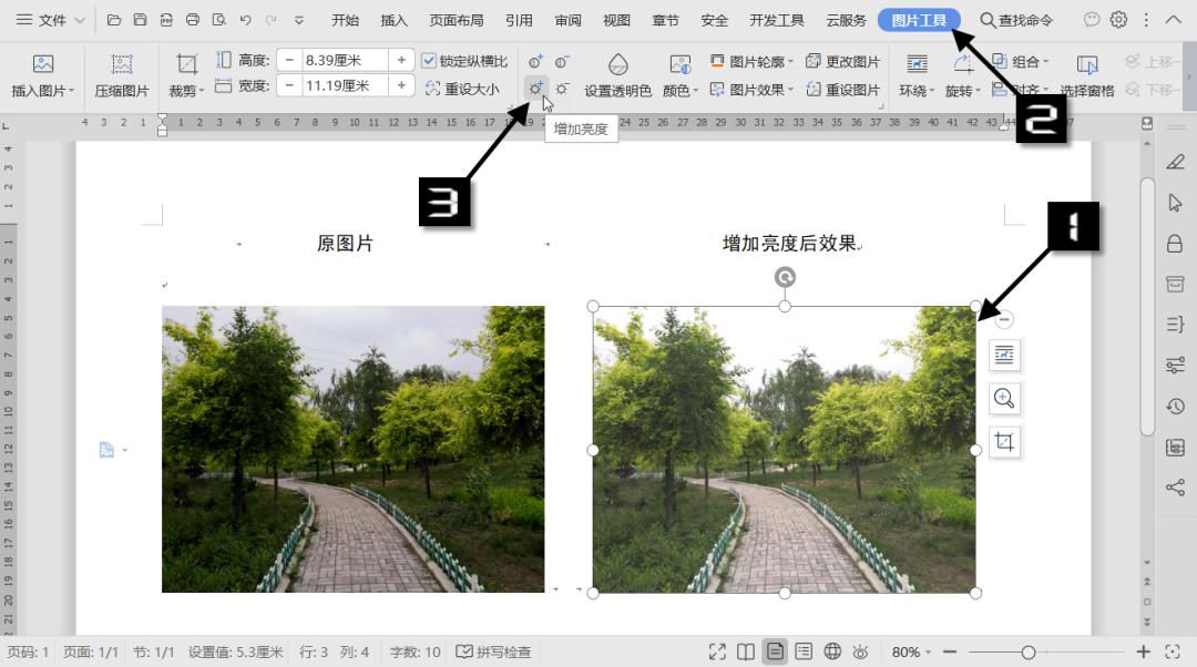 WPS技巧：调整图片格式