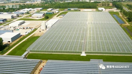 生态农业做什么最赚钱,生态农业前景如何