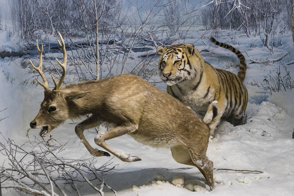 孩子被毒教材学坏了怎么办,幼儿园“毒教材”再次出现