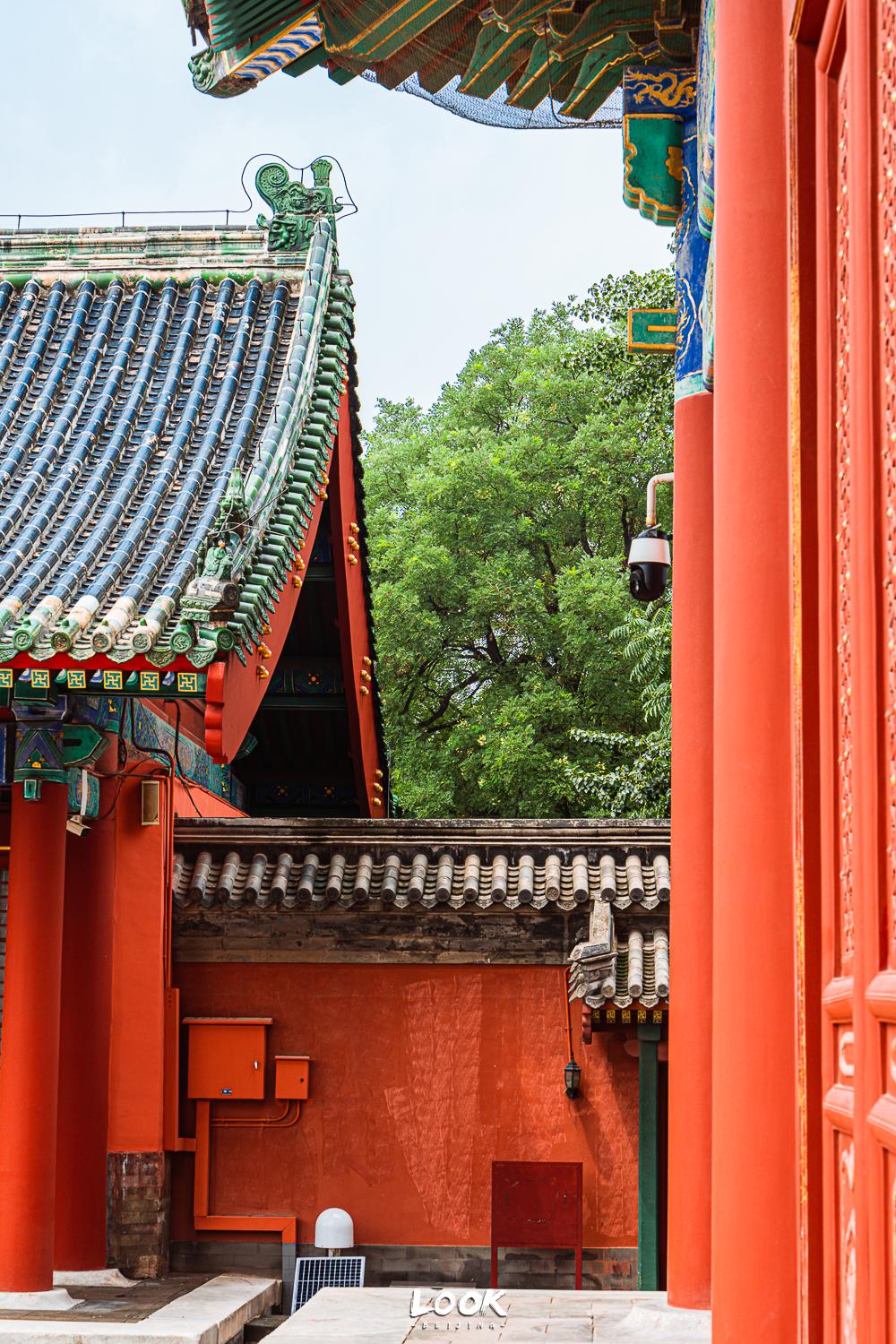 故宫600年珍宝展,600年国宝