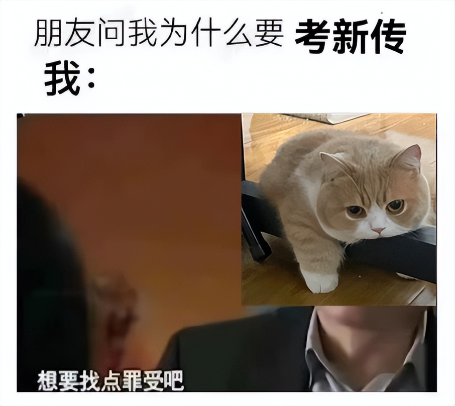 最差的文科专业,文科四大坑人专业