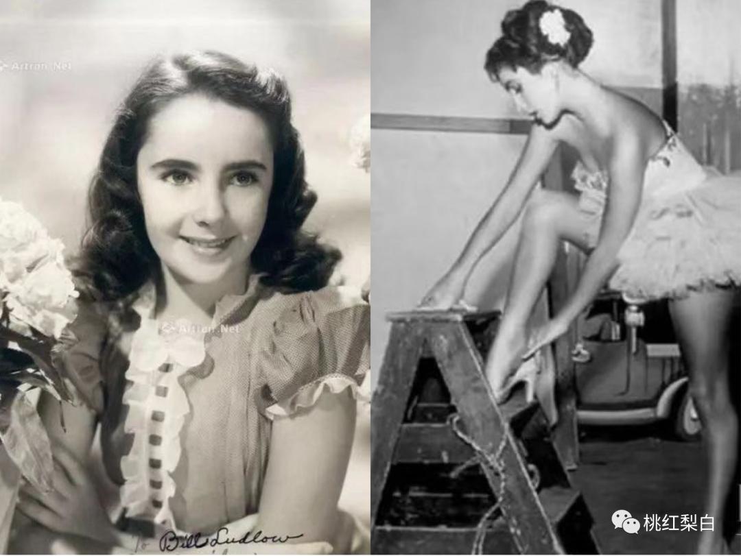 伊丽莎白泰勒去世后珠宝去哪里了,世界头号美女泰勒