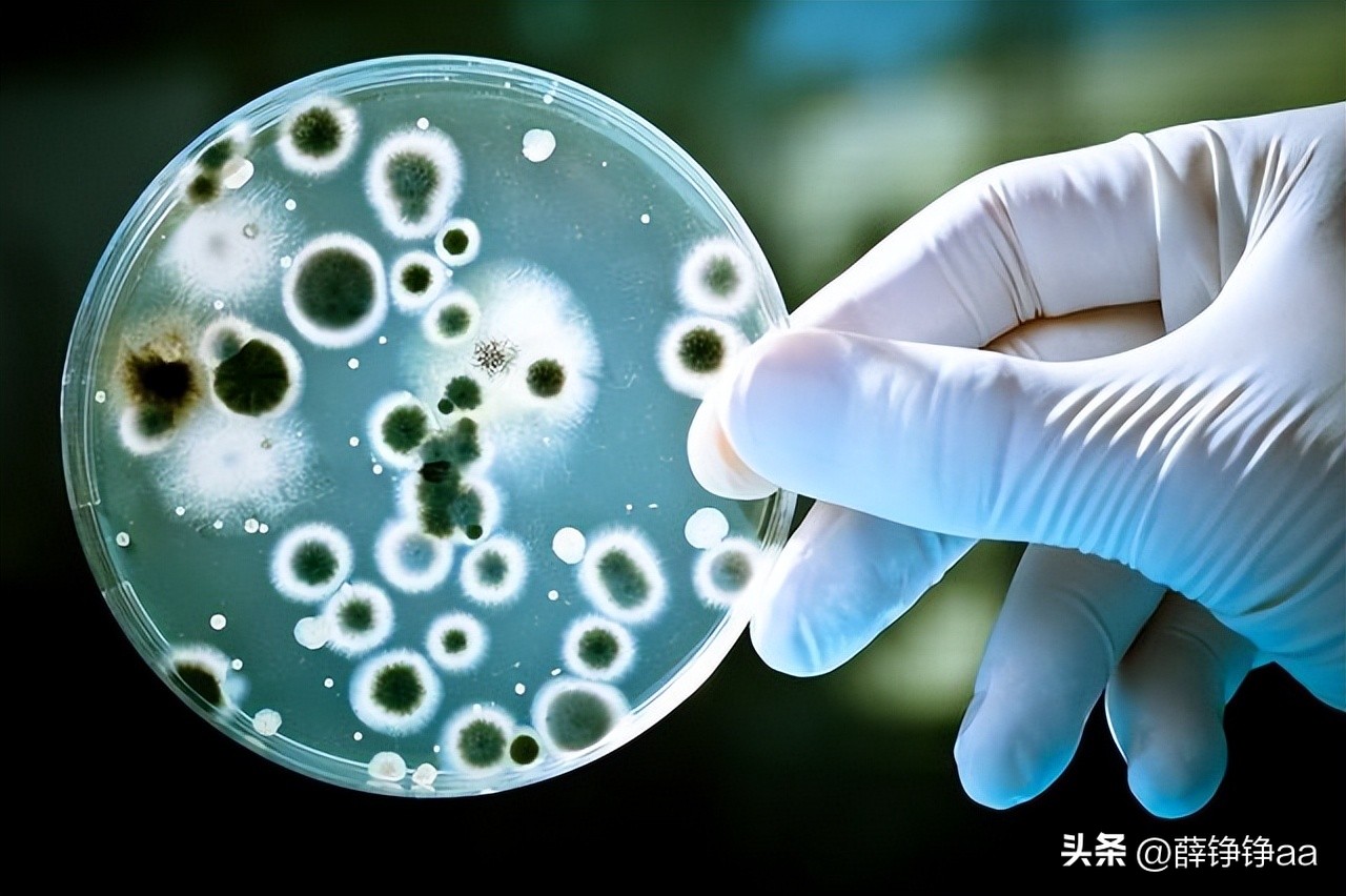 怎样辨别细菌肠胃炎,拉曼光谱法在药品检测中的应用