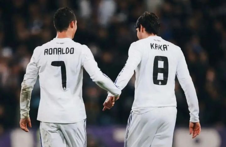 推书君第105期：这是一期激昂的竞技体育小说合集啦（女频）