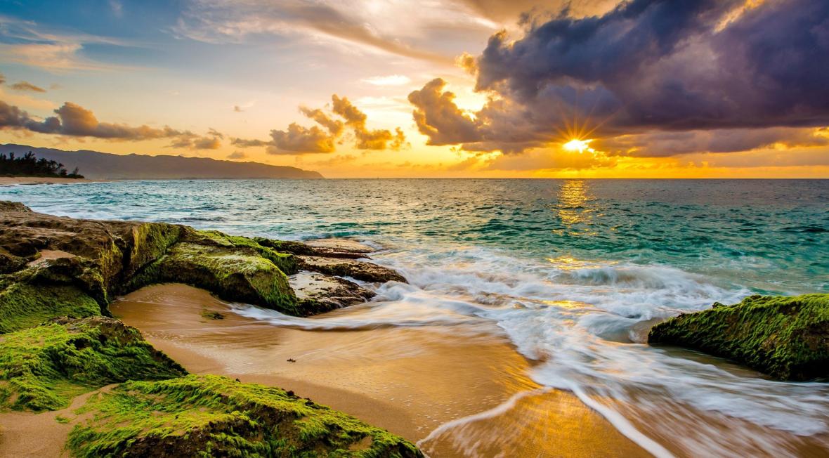 加拿大移民，申请魁北克大学本科留学，其实一点都不难