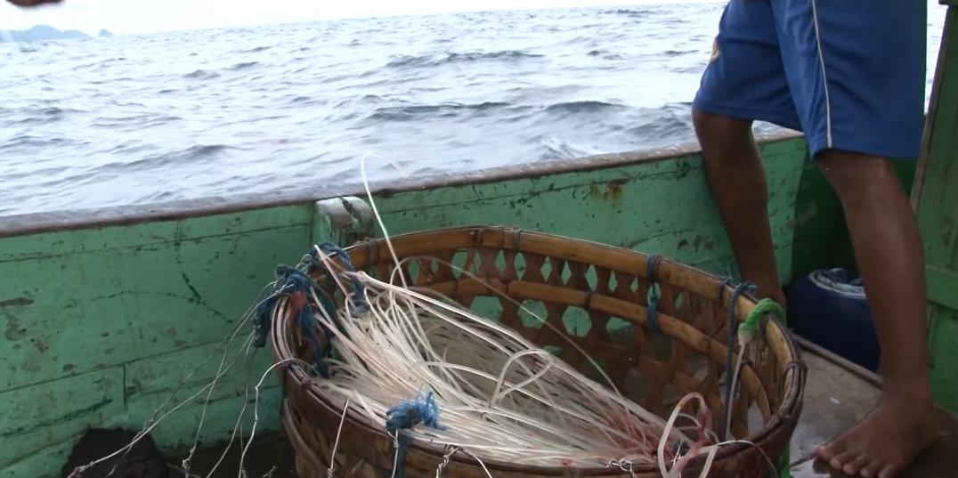 渔民捕获虎鲨,真实渔民钓到的虎鲨