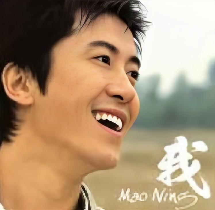 毛宁在90年代在乐坛什么地位,华语乐坛顶流毛宁