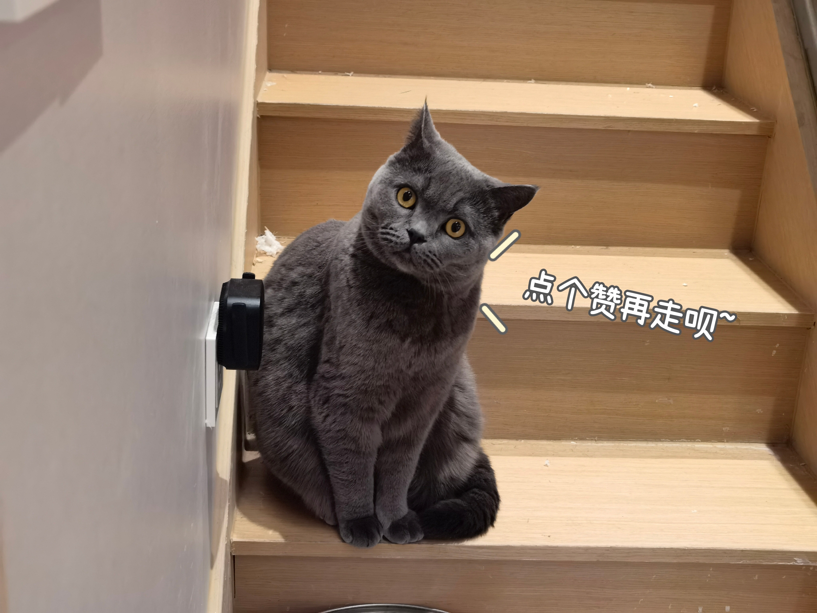 便宜没好货好吗,便宜没好货贵的才好用