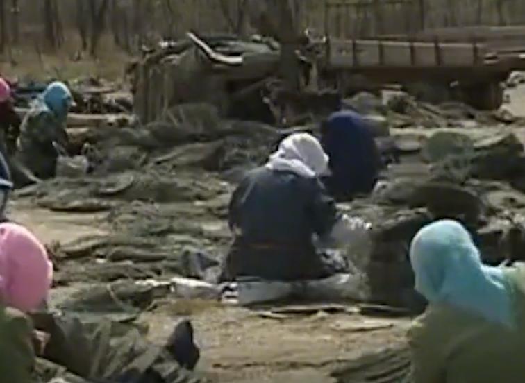 东北小伙一亿买石头,东北小伙花两亿买石头现状