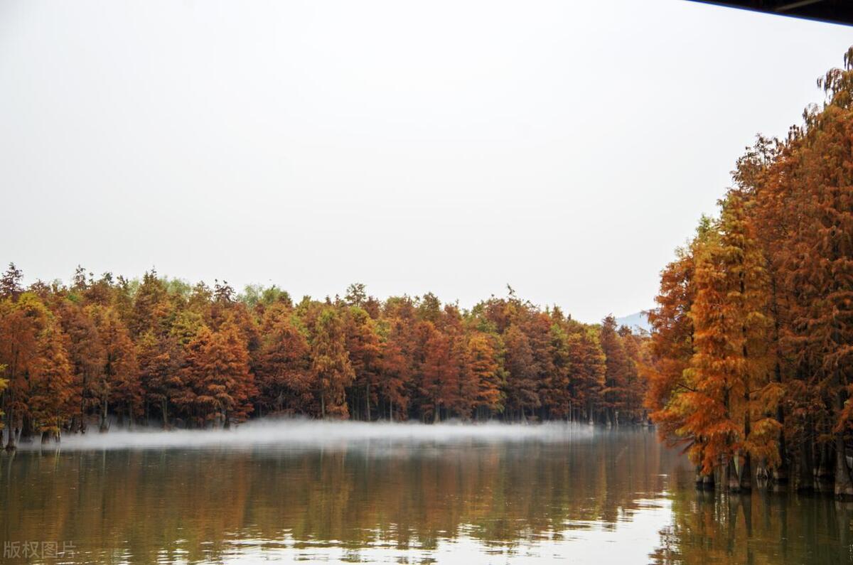 赏花江苏,江苏春季赏花景区