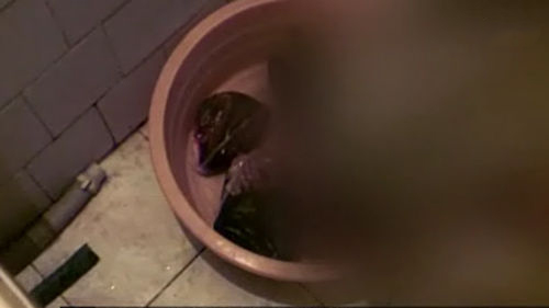 韩国查获核辐射食品,韩国疯牛病事件