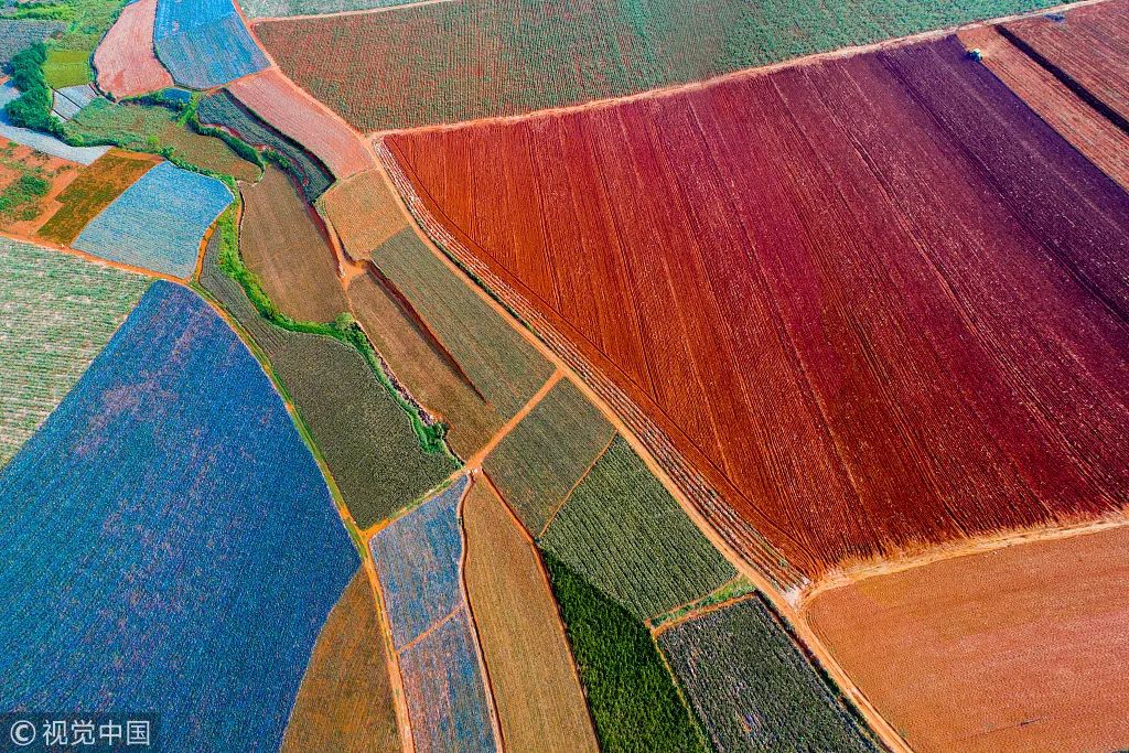 湛江菠萝海,湛江菠萝的海全景