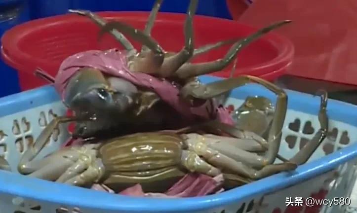 3.15来临，菜市场里高价买水、皮筋、绳子，为何年年涛声依旧?